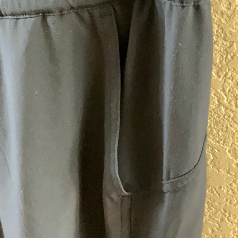 Athleta Joggers - Picture 3 of 5